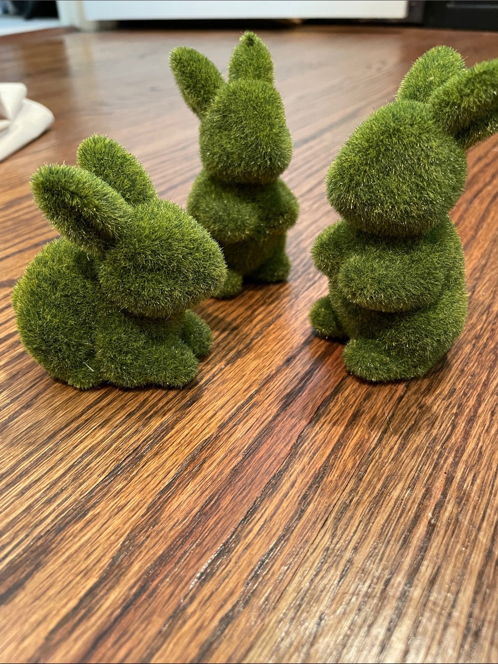 Decorative Moss Bunny Trio - Green